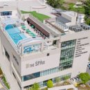 가온태권도 이미지