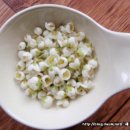 매화꽃민박 이미지