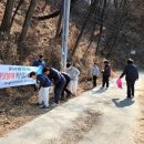 그린시티 이미지