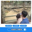 테마건강랜드 | 서울랜드 동물원 주말육아 끝판왕 아이와 함께 산책 코스 후기
