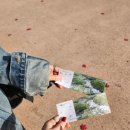 봉방7호 어린이공원 | [경기/부천] 부천자연생태공원/부천식물원(까치울역) 방문 후기