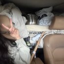 옥당걸숲속관광농원 이미지