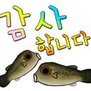 거북낚시