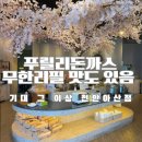 푸릴리 이미지