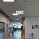 재재미술학원 | 내돈내산 아기 두돌 촬영 후기 대전 마이미프로젝트:)솔직리뷰