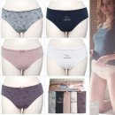 퍼피홀릭 이미지