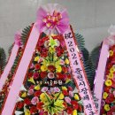 춘천공공사격장 이미지