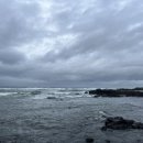 제주 올레길 12코스 | [제주올레길] 12코스｜폭우 뒤 더 쉽지 않았던 흙밭길, 그리고 그 끝에 만난 푸른 바다