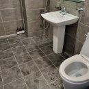 제주벨루가 이미지