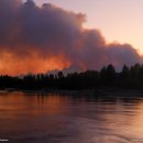 독불장군 이미지