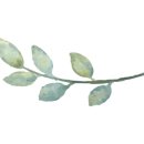 영팔이 황토펜션 이미지