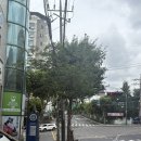 동인네거리 | [양천구 신정동] 신정네거리역 신정역 미용실 “김성희헤어 신정네거리역점” 솔직후기(컷트, 클리닉)