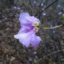 우두산상회