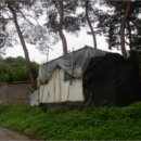 강화읍-16 이미지