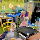 애견명가 이미지