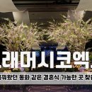 신세계푸드코엑스연회