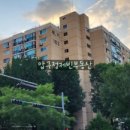 압구정-117 이미지