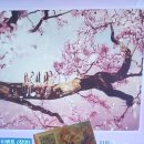 애향 노래연습장 | (20260521목)혼자시내에논후기!!