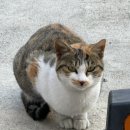 리하우스펜션 A동 | 가평춘천 리하우스 북한강뷰 감성 숙소 블루룸 바베큐 후기