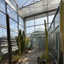 안산 식물원 | 실내 아이랑 가볼만한 곳, 안산식물원 방문 후기