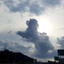 구름강아지 이미지