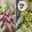 광대목장 이미지