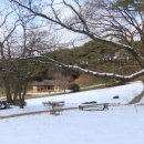 죽림마을소교량 | 모양지관과 맹종죽림 , 고창 읍성(모양성)