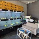 버디독 강아지분양 고양이분양 안심분양센터 서울 강서점 이미지