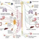 화정부부경희한의원 이미지