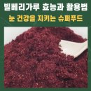 선아전자 | 빌베리가루 효능과 활용법, 눈 건강을 지키는 슈퍼푸드