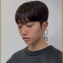 로이드밤헤어 이미지