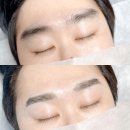 바니앤피그눈썹