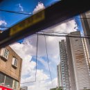 Dear My Pet 이미지