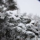 예산-09 이미지