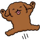 아벨리뜨