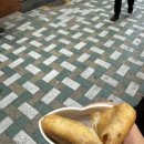 진현푸드