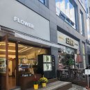 웰힐링협동조합 | 대구 월성동 꽃집 추천 올이즈웰 후기!!