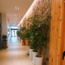 킹비젼스크린골프 이미지