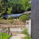 담느루 1 이미지