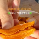 우림농장1 이미지