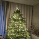 뉴인정 고급세탁소 | 🎄 까사무띠 뉴보그 180cm 트리 풀세트 솔직 후기 ✨