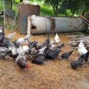 더불어농장 이미지