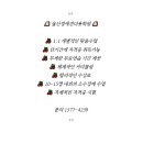 개인정애견샵 이미지