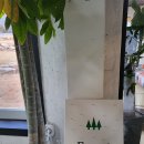 포레스트 경주(Forest 경주) 이미지