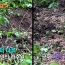 에덴농장 이미지