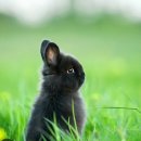 생활 역학 이미지