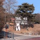 45 | 용인 대형애견카페 테일45 내돈내산 후기