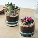 우리들원예사 | 가평 남양주 가정의 달 체험프로그램 어린이날 어버이날 행사 유치원 어린이집 학교 맞춤 수업