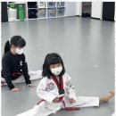 건강태권도장 이미지