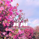 남원읍-58 이미지